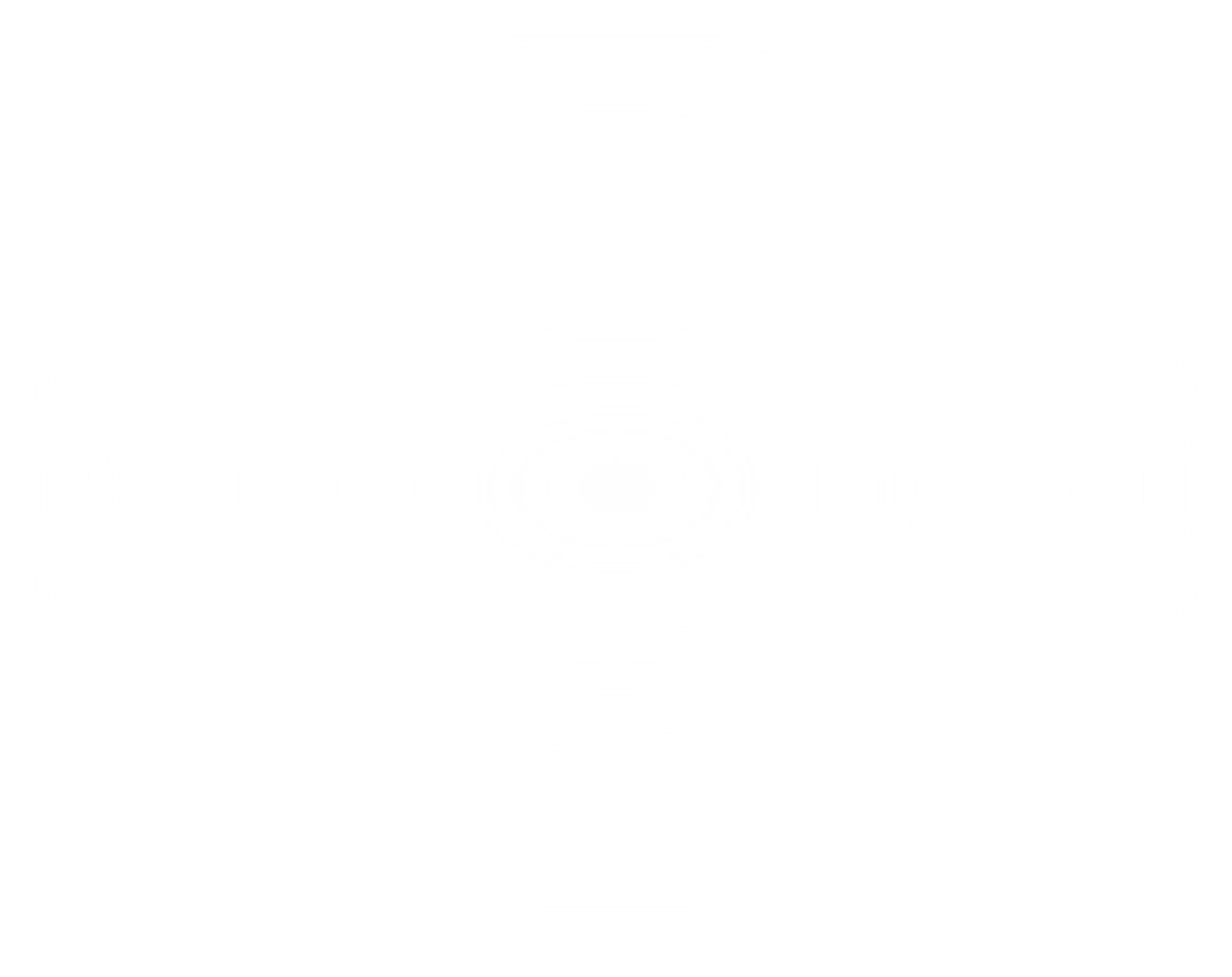 White Oval Gradient